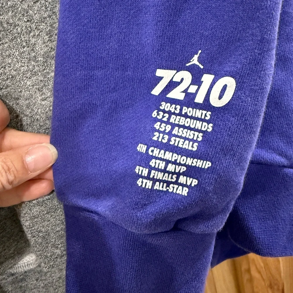 Air Jordan Vintage Purple and Gray ‘95/‘96 Stats Hoodie Sporty Cozy Athleisure